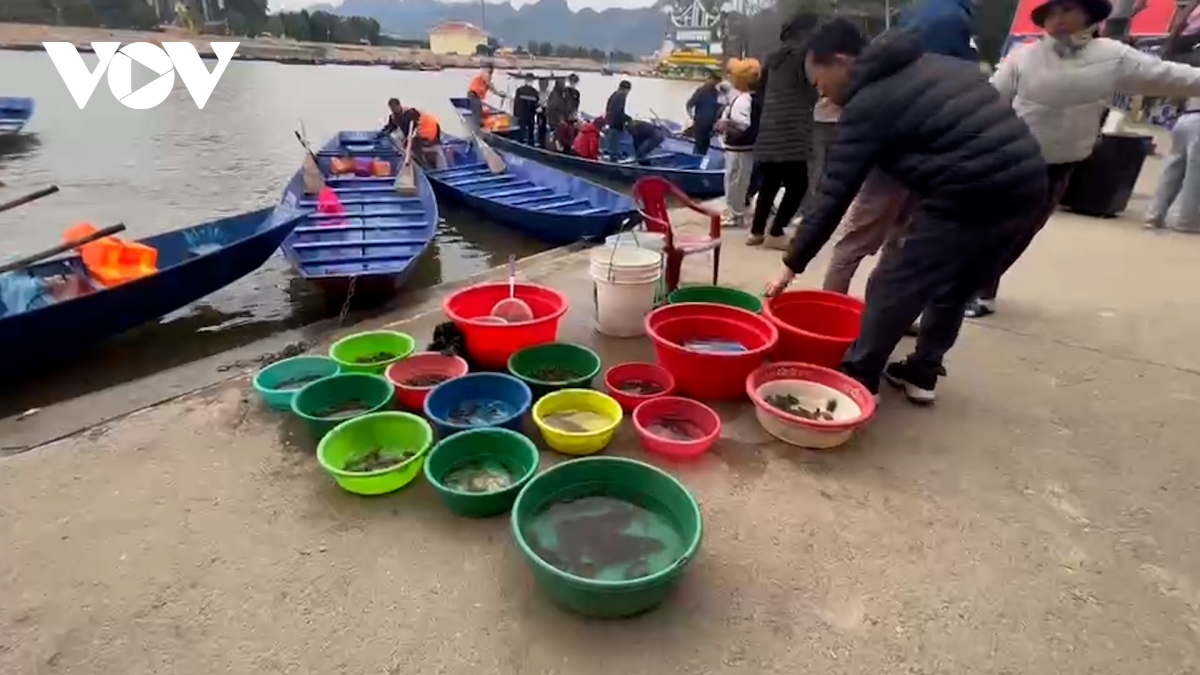 Bộ TN&MT đề nghị các đơn vị chức năng đẩy mạnh kiểm tra, giám sát, tuyên truyền nhằm ngăn chặn việc phóng sinh các loài ngoại lai xâm hại.